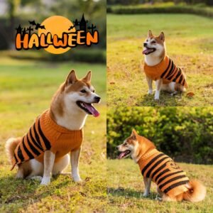Halloween dog sweater